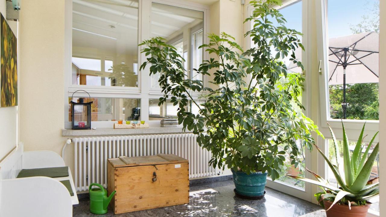 Ferienwohnung Zum Goldenen Kopf Elzach Esterno foto